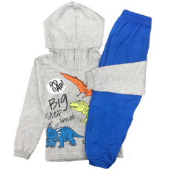 Conjunto Infantil Estampado Manga Longa Moletom Básico